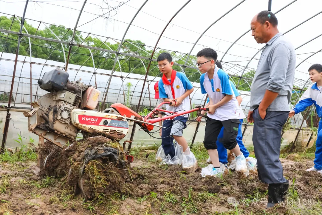 20240522D衡山县实验小学研学实践活动 第54张 20240522D衡山县实验小学研学实践活动 第54张