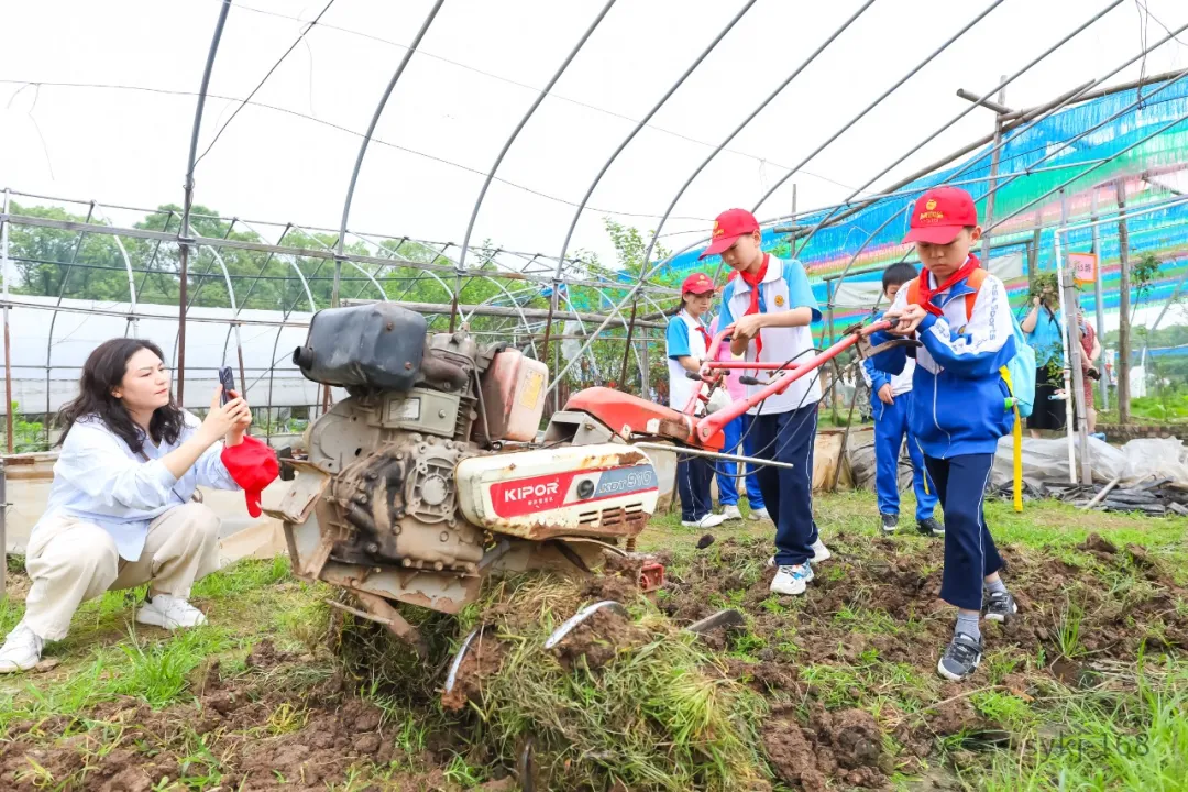 20240522D衡山县实验小学研学实践活动 第50张 20240522D衡山县实验小学研学实践活动 第50张