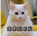 小学班主任:这个基础要从小打好,不然会成为小学的第一道坎(家长必看) 第1张