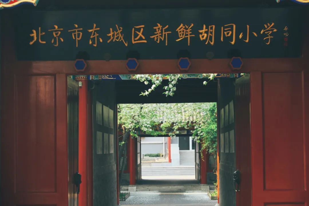 【阅读·新鲜】新鲜胡同小学“发现杯”新鲜少年讲书人系列展示(六) 第14张 【阅读·新鲜】新鲜胡同小学“发现杯”新鲜少年讲书人系列展示(六) 第14张