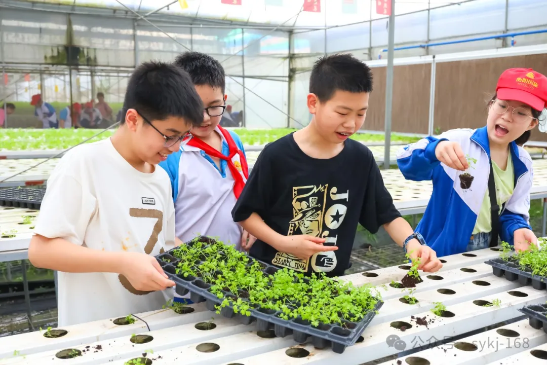 20240522D衡山县实验小学研学实践活动 第150张 20240522D衡山县实验小学研学实践活动 第150张