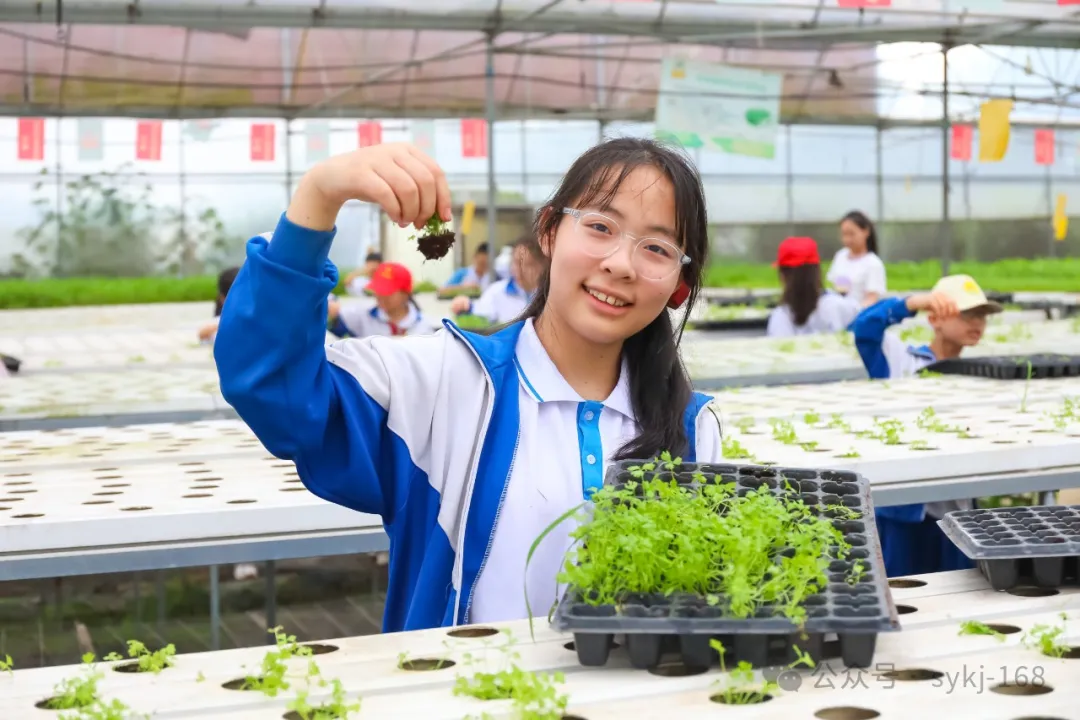 20240522D衡山县实验小学研学实践活动 第149张 20240522D衡山县实验小学研学实践活动 第149张