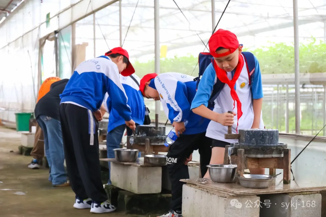 20240522D衡山县实验小学研学实践活动 第62张 20240522D衡山县实验小学研学实践活动 第62张