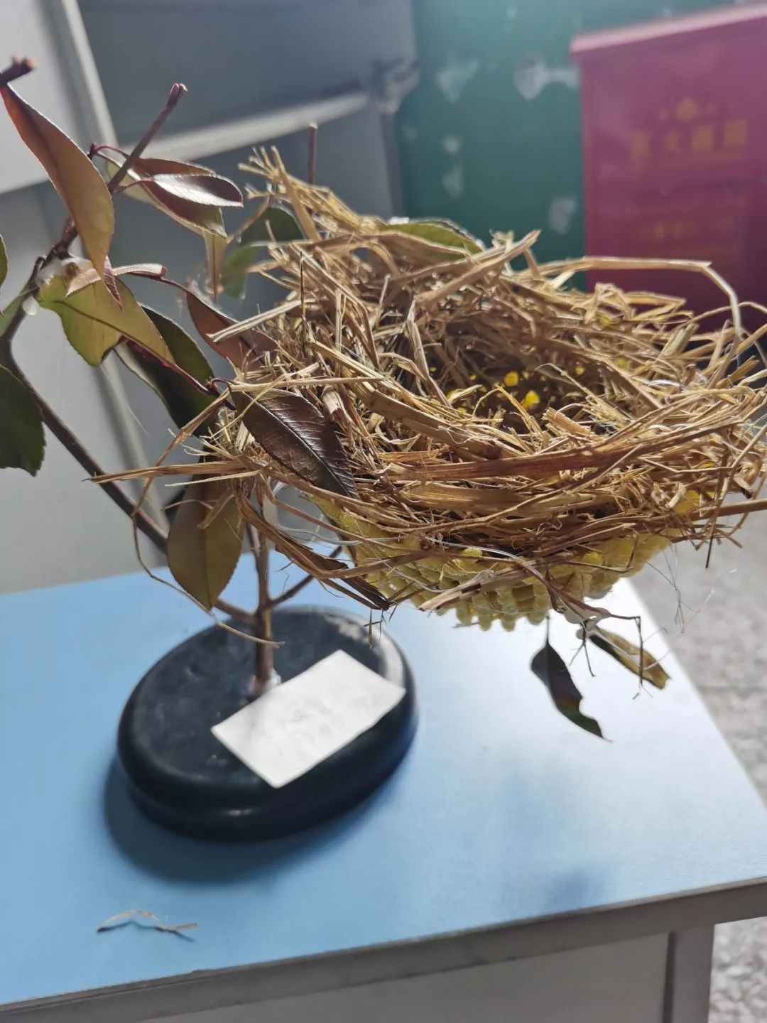 提升思维 启智未来——嘉善县大舜小学第一届思维节 第10张 提升思维 启智未来——嘉善县大舜小学第一届思维节 第10张