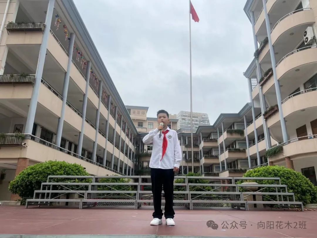 万物向阳,小满得盈----人民小学四(2)班值周活动特辑 第19张