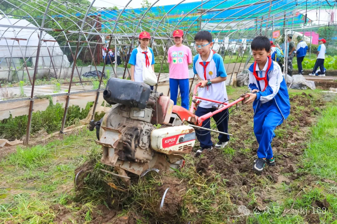 20240522D衡山县实验小学研学实践活动 第51张 20240522D衡山县实验小学研学实践活动 第51张