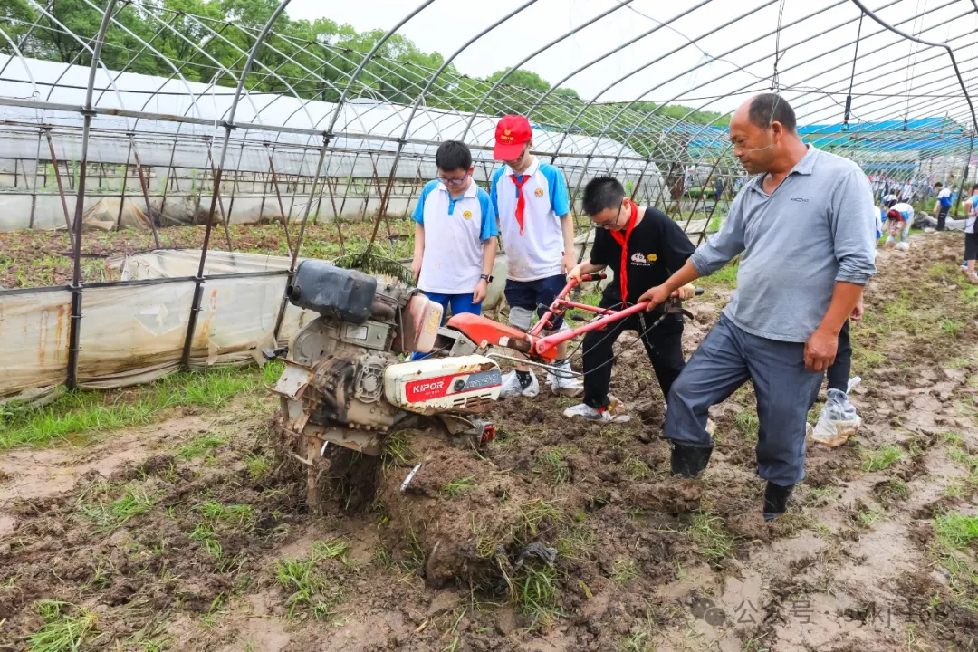 20240522D衡山县实验小学研学实践活动 第55张 20240522D衡山县实验小学研学实践活动 第55张