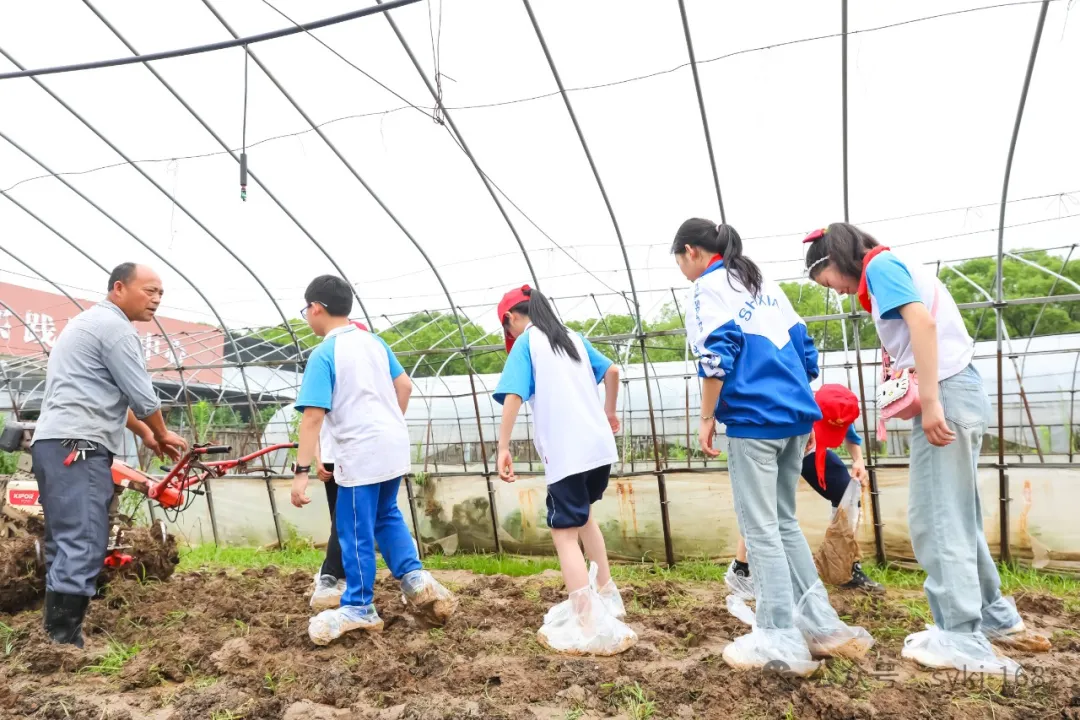 20240522D衡山县实验小学研学实践活动 第56张 20240522D衡山县实验小学研学实践活动 第56张
