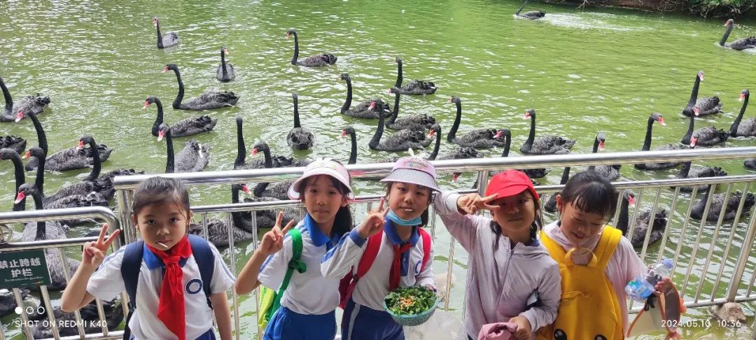 龙飞小学1-2年级学生主题式研学课程活动精彩回顾 第24张 龙飞小学1-2年级学生主题式研学课程活动精彩回顾 第24张