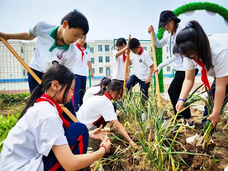 马桥镇陈庄小学第13周工作简报 第36张