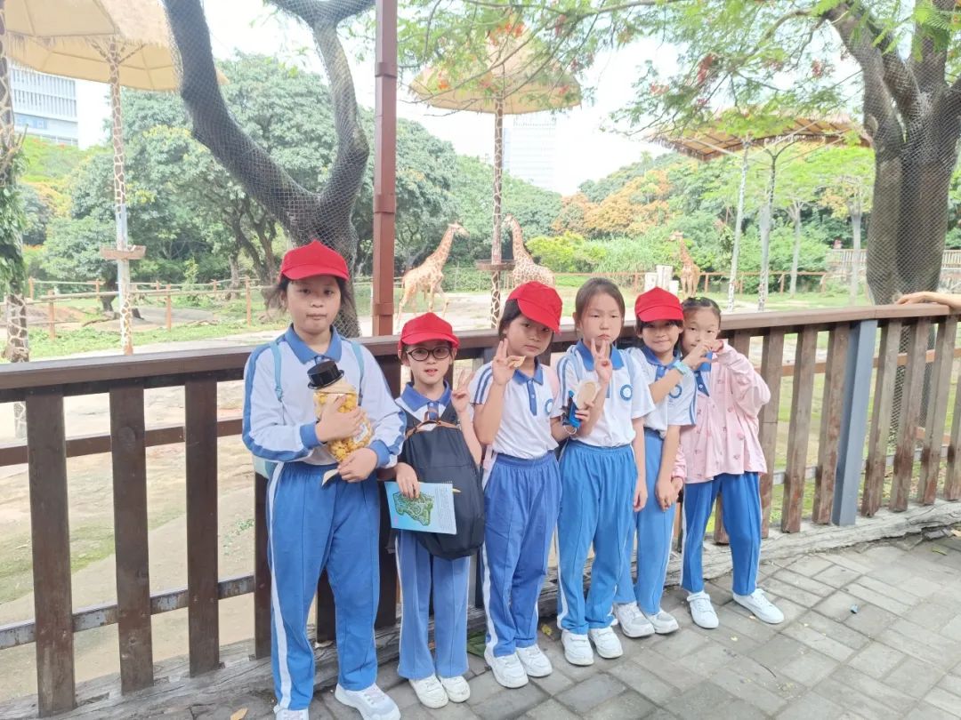 龙飞小学1-2年级学生主题式研学课程活动精彩回顾 第33张 龙飞小学1-2年级学生主题式研学课程活动精彩回顾 第33张