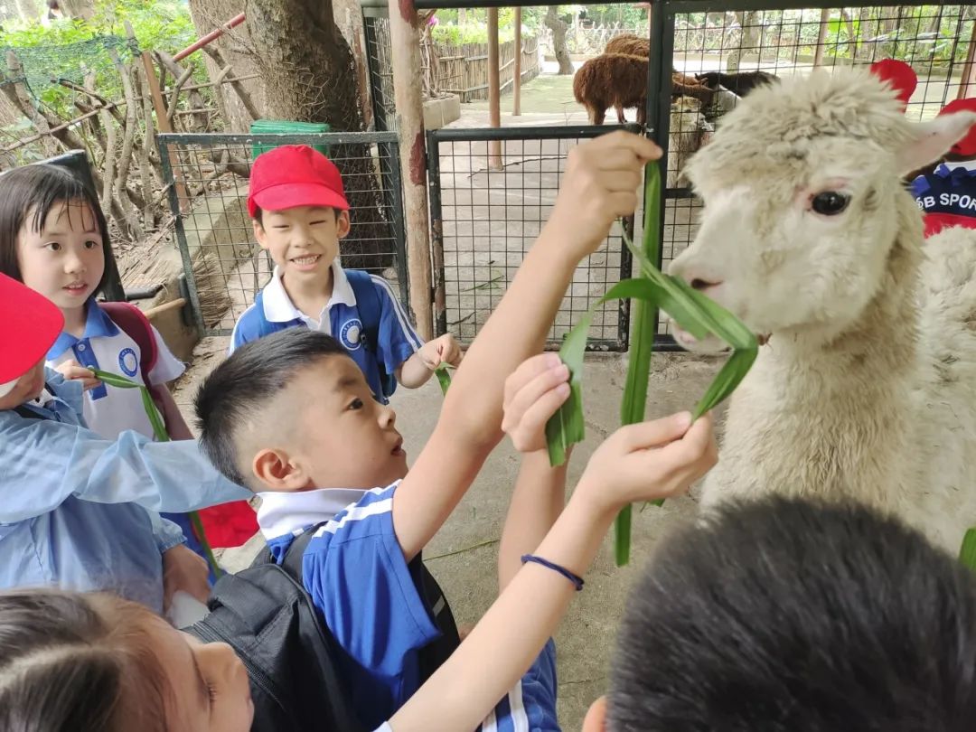 龙飞小学1-2年级学生主题式研学课程活动精彩回顾 第37张 龙飞小学1-2年级学生主题式研学课程活动精彩回顾 第37张