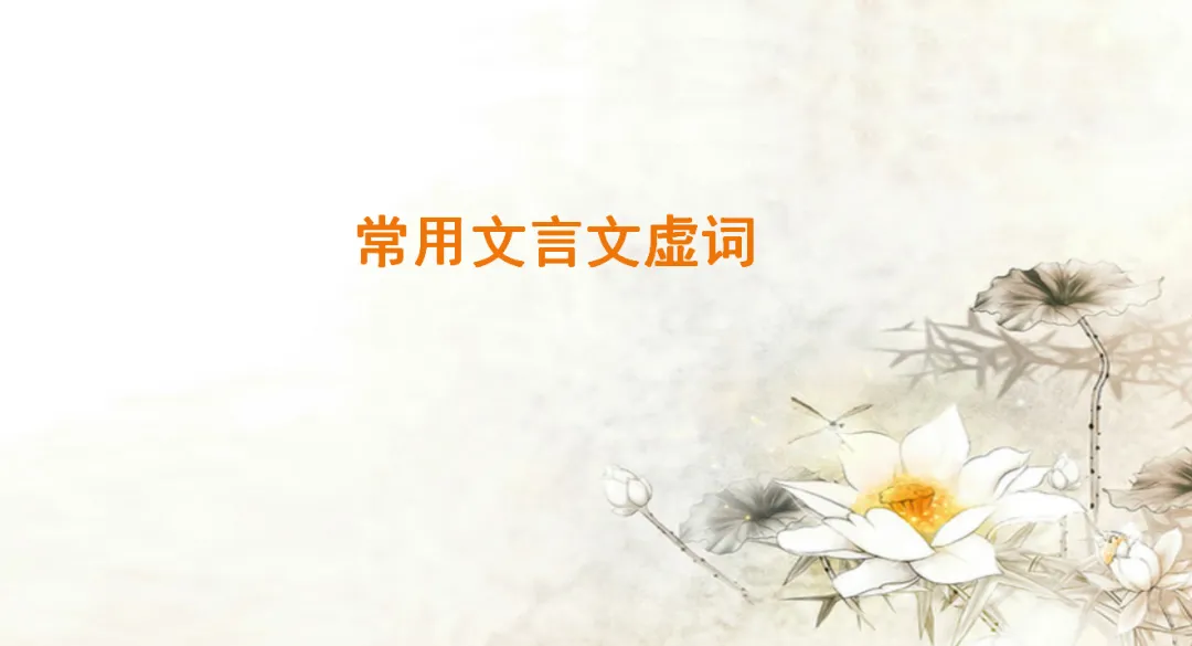中考语文专题复习-常用文言虚词 第1张