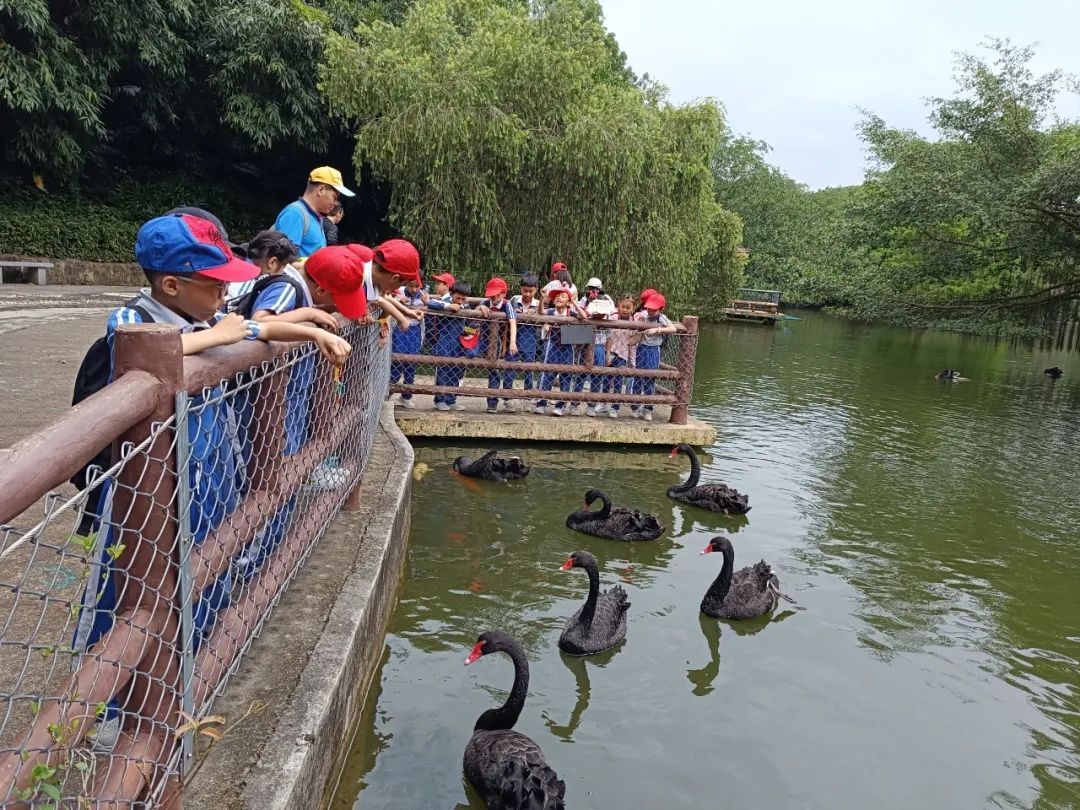 龙飞小学1-2年级学生主题式研学课程活动精彩回顾 第20张 龙飞小学1-2年级学生主题式研学课程活动精彩回顾 第20张