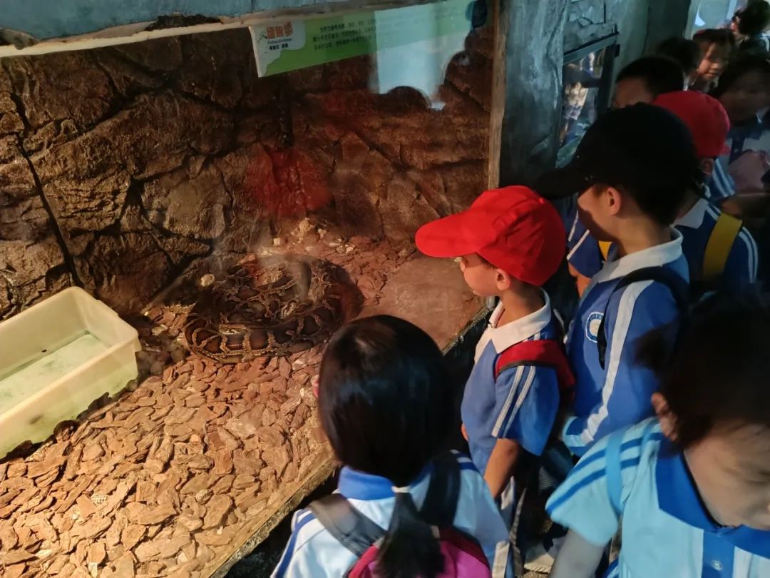 龙飞小学1-2年级学生主题式研学课程活动精彩回顾 第76张 龙飞小学1-2年级学生主题式研学课程活动精彩回顾 第76张
