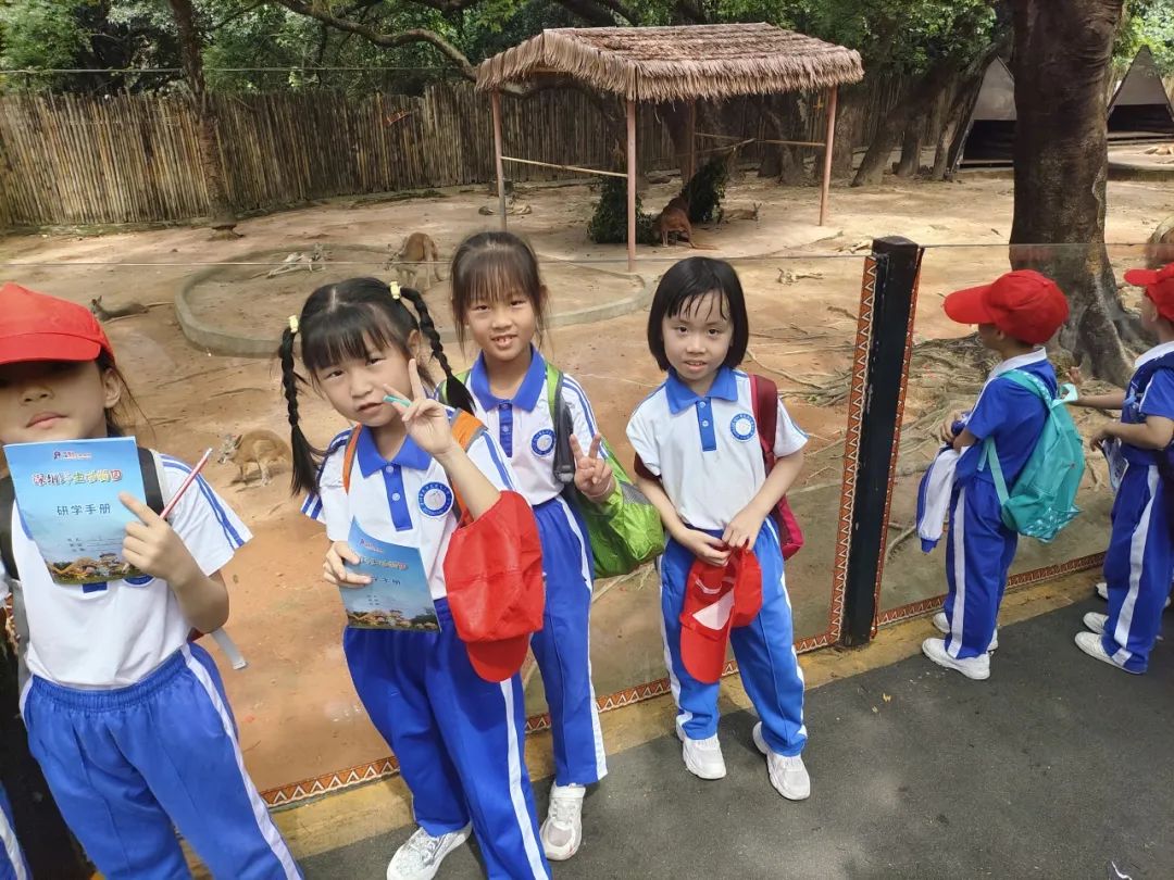 龙飞小学1-2年级学生主题式研学课程活动精彩回顾 第53张 龙飞小学1-2年级学生主题式研学课程活动精彩回顾 第53张