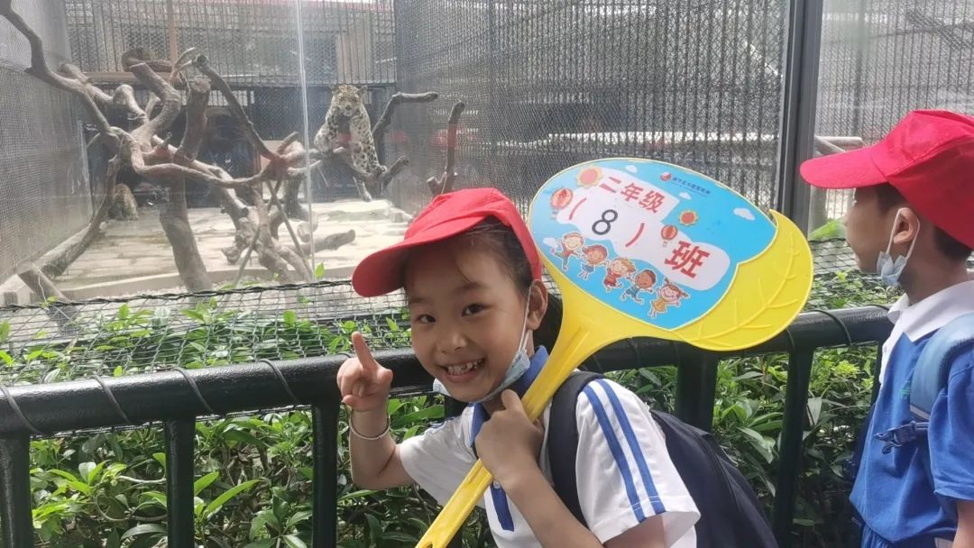 龙飞小学1-2年级学生主题式研学课程活动精彩回顾 第43张 龙飞小学1-2年级学生主题式研学课程活动精彩回顾 第43张