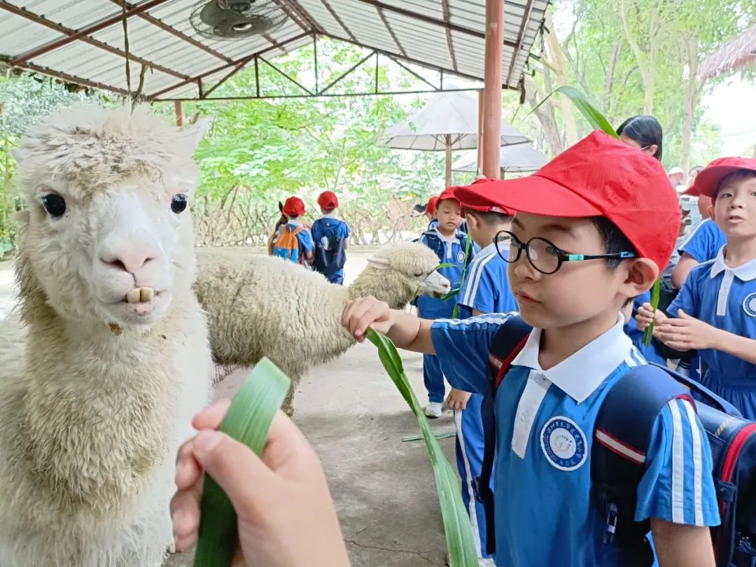 龙飞小学1-2年级学生主题式研学课程活动精彩回顾 第39张 龙飞小学1-2年级学生主题式研学课程活动精彩回顾 第39张