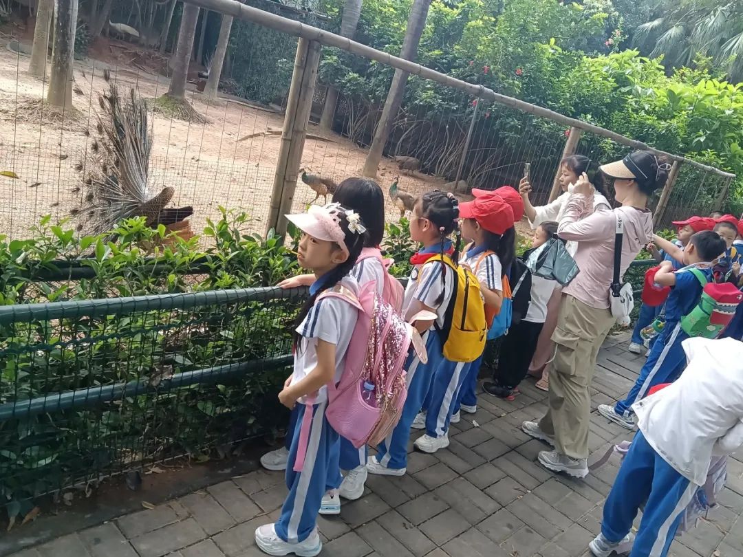 龙飞小学1-2年级学生主题式研学课程活动精彩回顾 第16张 龙飞小学1-2年级学生主题式研学课程活动精彩回顾 第16张