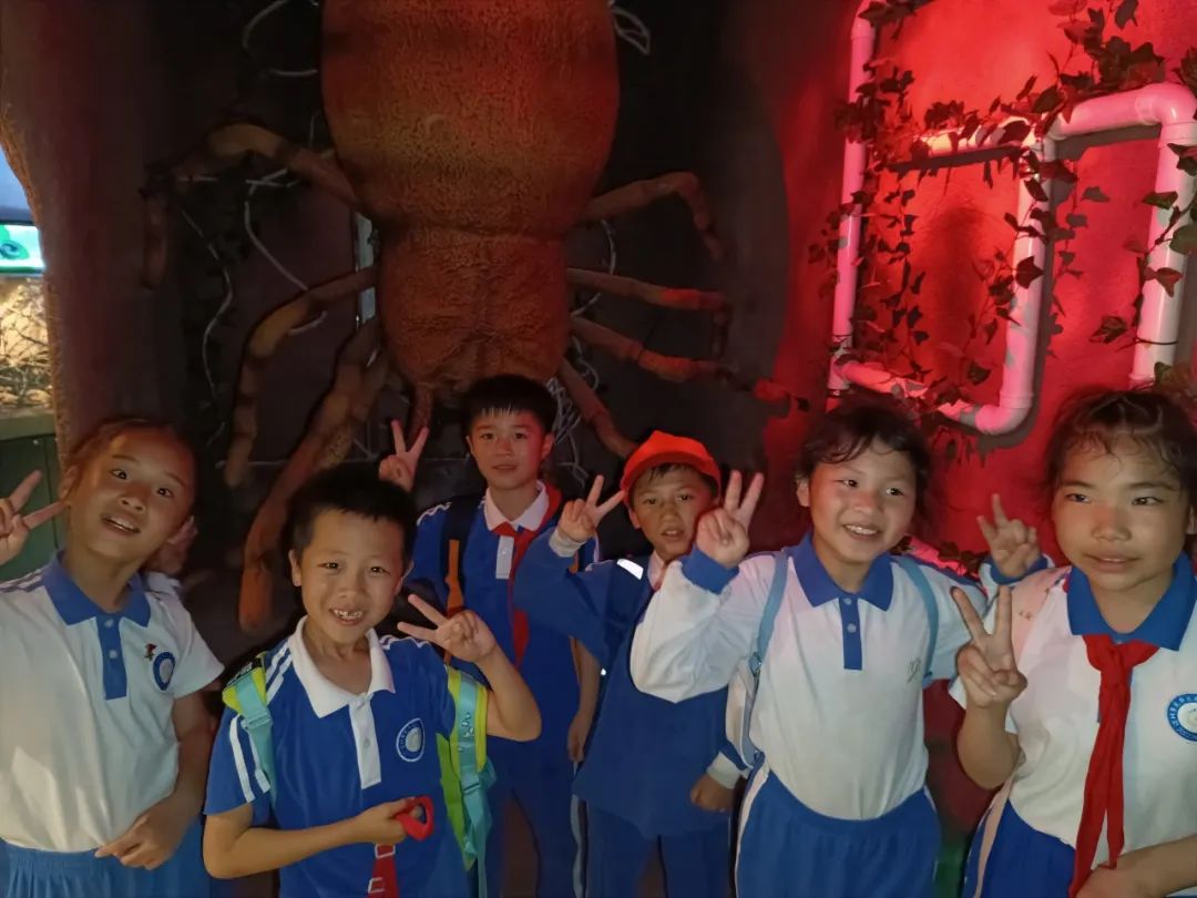 龙飞小学1-2年级学生主题式研学课程活动精彩回顾 第75张 龙飞小学1-2年级学生主题式研学课程活动精彩回顾 第75张