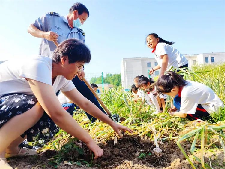 马桥镇陈庄小学第13周工作简报 第41张