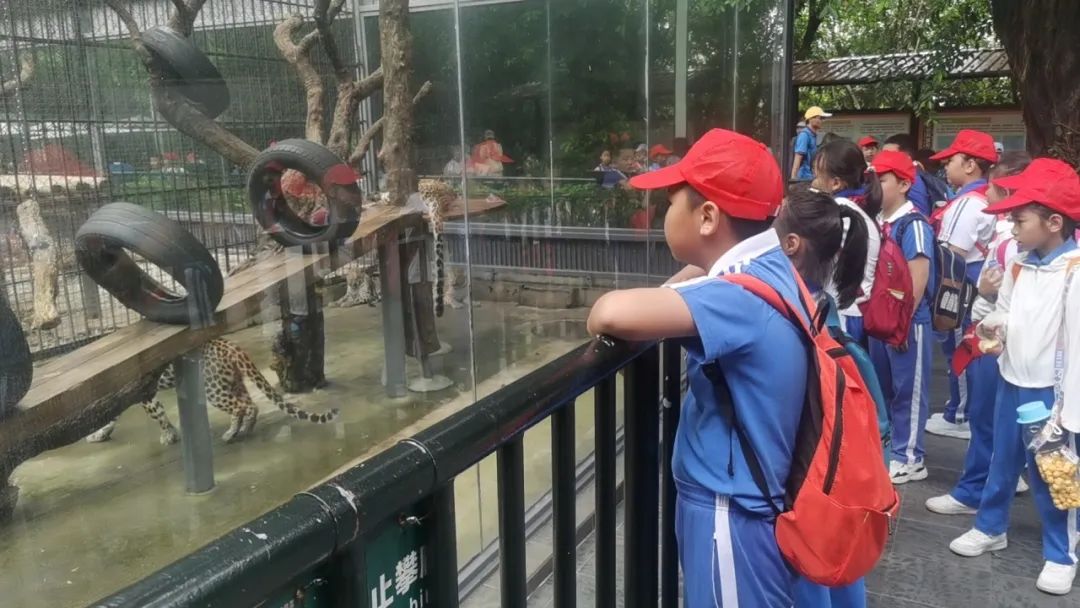 龙飞小学1-2年级学生主题式研学课程活动精彩回顾 第44张 龙飞小学1-2年级学生主题式研学课程活动精彩回顾 第44张