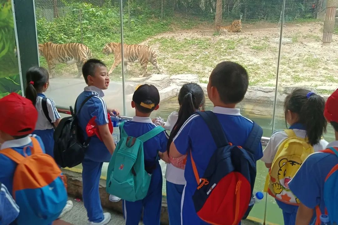 龙飞小学1-2年级学生主题式研学课程活动精彩回顾 第46张 龙飞小学1-2年级学生主题式研学课程活动精彩回顾 第46张