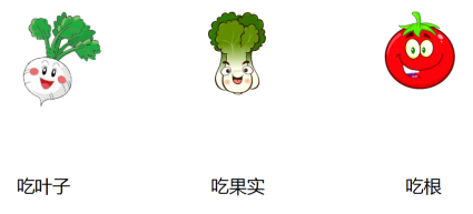 【每日一练】可打印丨小学语文1-6年级基础+阅读每日一练,提高成绩见效快! 第5张