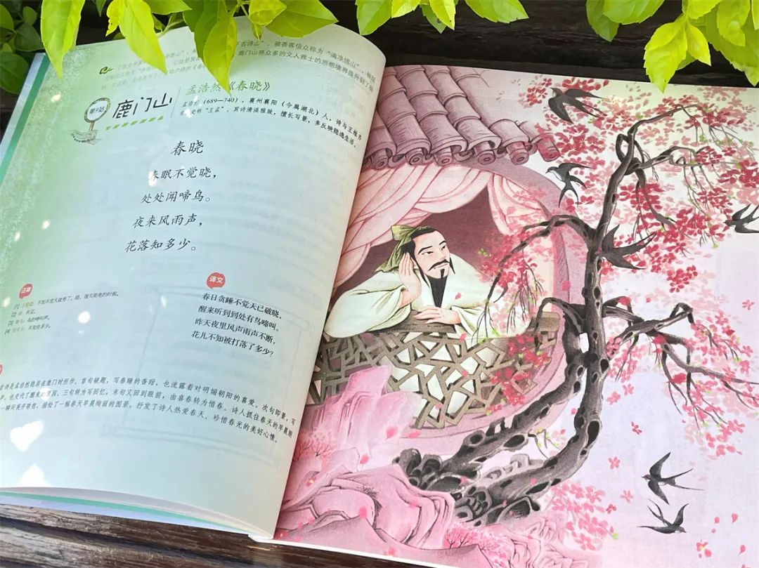 小学考题:葫芦娃是哪里人?10万家长炸了:学霸孩子怎么养成的? 第12张