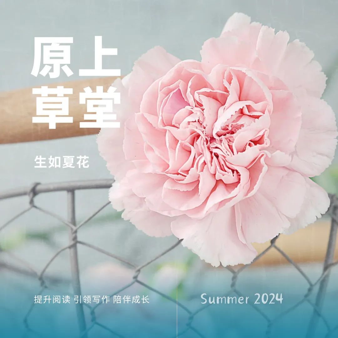 高考语文阅读应试,有捷径吗? 第1张 高考语文阅读应试,有捷径吗? 第1张