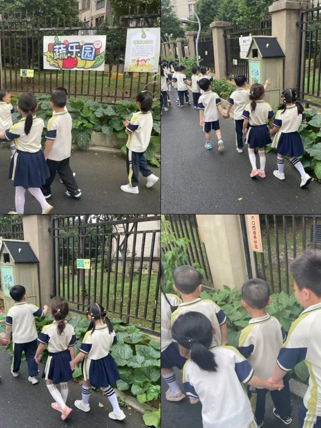 【市府·动态】赴成长之约 启小学之旅—安庆市政府机关幼儿园宜园园区 大班组开展参观小学活动 第10张 【市府·动态】赴成长之约 启小学之旅—安庆市政府机关幼儿园宜园园区 大班组开展参观小学活动 第10张