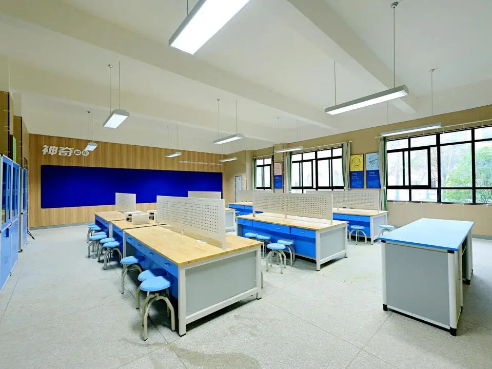 实验小学陆港分校面向全区自主申请入学开始啦! 第49张