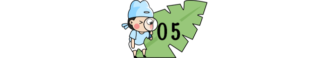 【每日一练】可打印丨小学语文1-6年级基础+阅读每日一练,提高成绩见效快! 第11张