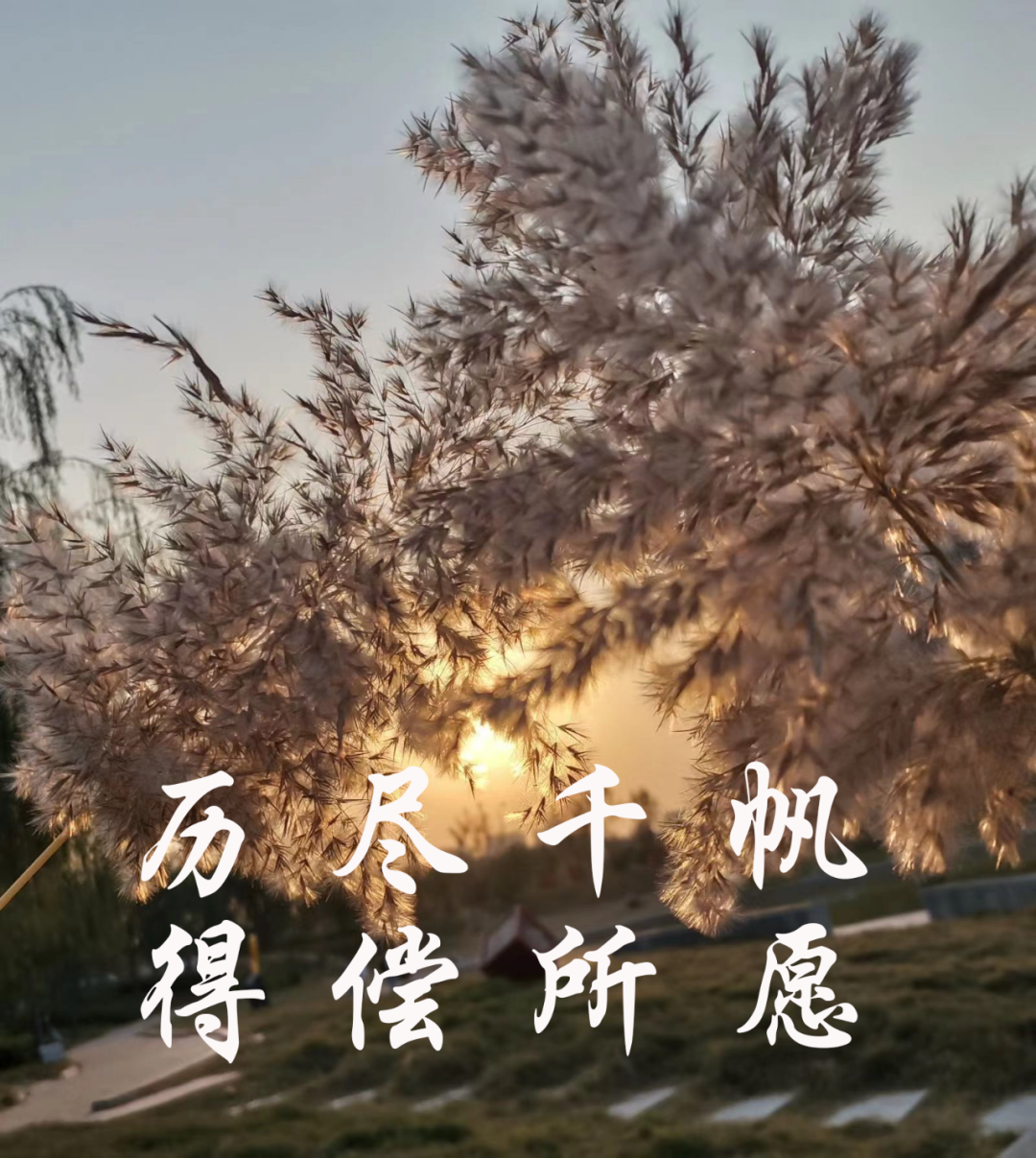高考倒计时10天 | 决战高考,蓄“10”待发! 第16张