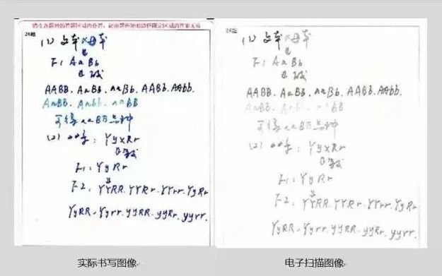 24年中高考答题卡“大变样”?这些填涂方式全部0分! 第31张 24年中高考答题卡“大变样”?这些填涂方式全部0分! 第31张