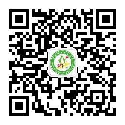 【“三抓三促”行动进行中】康县城关第三小学少先队组织开展形式多样的队前教育活动 第12张 【“三抓三促”行动进行中】康县城关第三小学少先队组织开展形式多样的队前教育活动 第12张