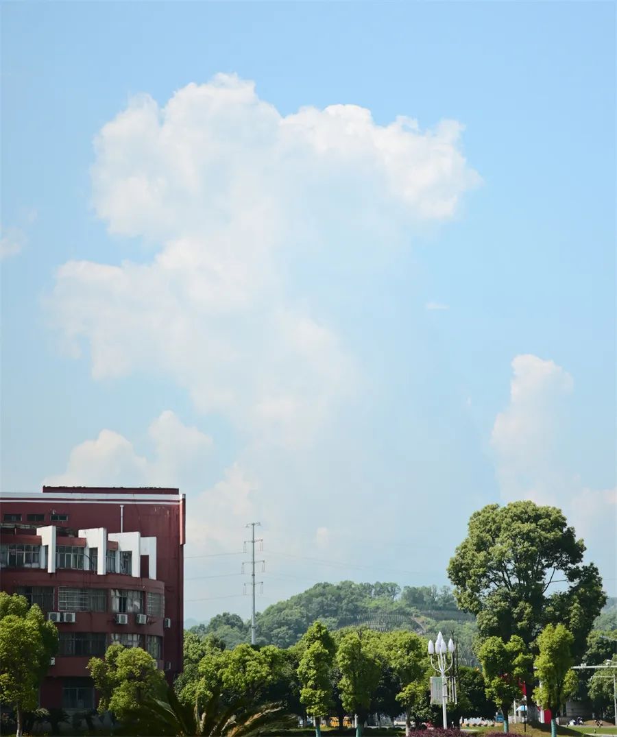 高考倒计时10天|青春奋斗正当时 第17张