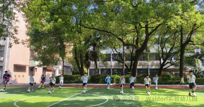 【科学幼小衔接】初探小学 • “幼”见成长——华德瑞幼儿园大班组参观小学活动 第27张
