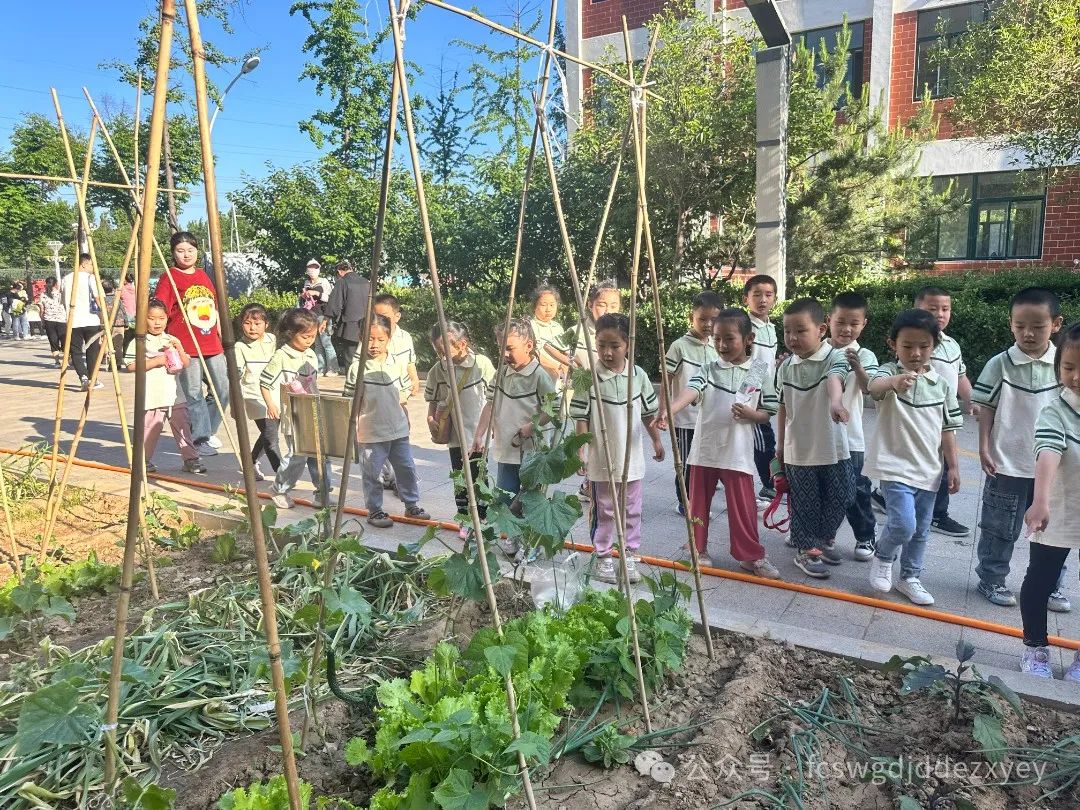 【小学初体验,衔接共成长】王瓜店街道第二中心幼儿园开展“守护育幼底线,成就美好童年”幼小衔接活动 第93张