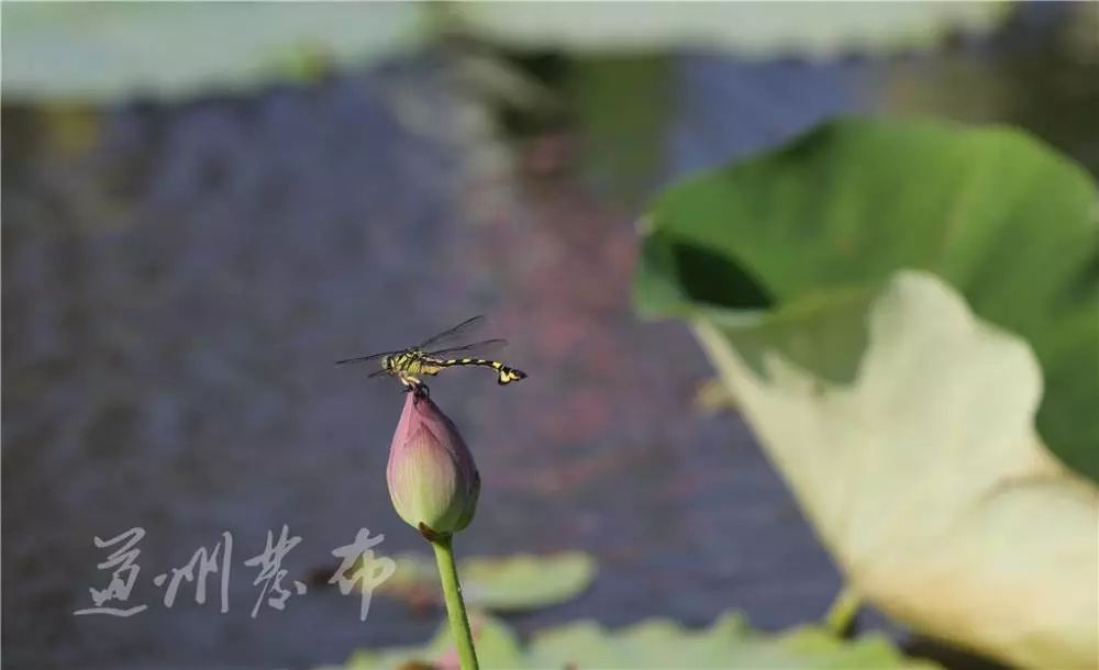 道县高考学子加油! 第1张