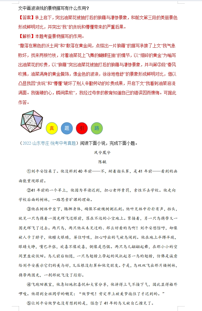 2024年中考语文:现代文阅读题答题模板(记叙文、说明文、议论文)全方位攻克,高分阅读必备! 第11张