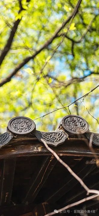 昆明学院教师教育学院小学教育专业2022级4班教育见习(二)活动简报 第37张