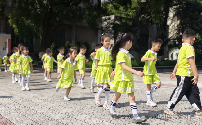 【科学幼小衔接】初探小学 • “幼”见成长——华德瑞幼儿园大班组参观小学活动 第13张