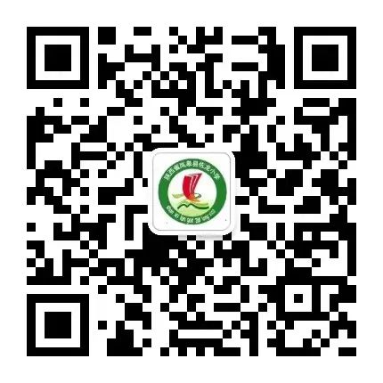 奋发“乒”搏 勇于超越——佐龙小学乒乓球社团活动总结 第15张 奋发“乒”搏 勇于超越——佐龙小学乒乓球社团活动总结 第15张