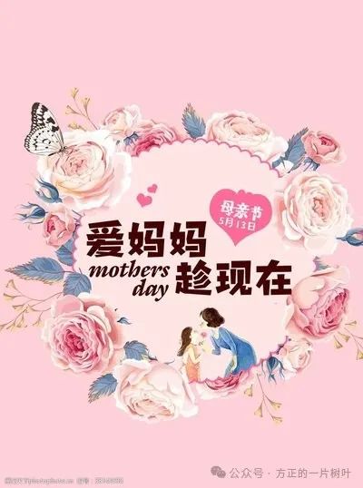 中考满分作文:10篇“母爱”主题的真情作文 第2张