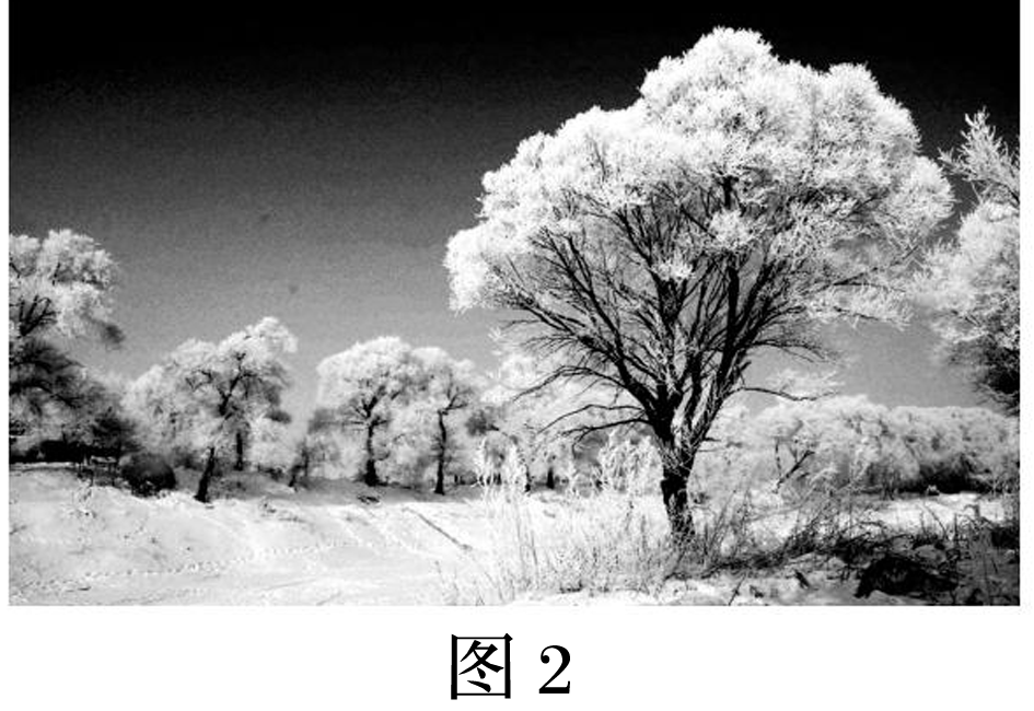 高考地理文综答题规范,考前必看 第4张