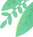 畅想小学,满怀期待 第1张