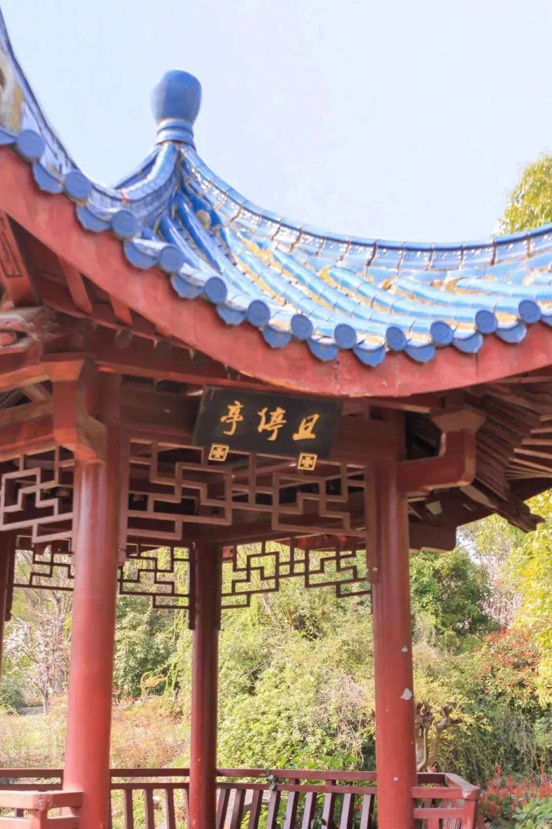 高考倒计时10天 | 金榜题名 旗开得胜 第16张 高考倒计时10天 | 金榜题名 旗开得胜 第16张
