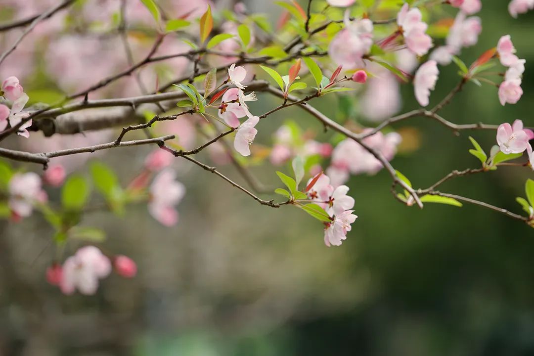 高考倒计时10天|是一站,也是一战,高考加油! 第2张