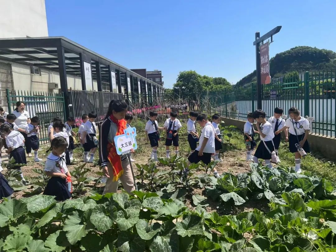 走进小学,体验成长——东钱湖大地幼儿园大班幼小衔接活动花絮 第41张